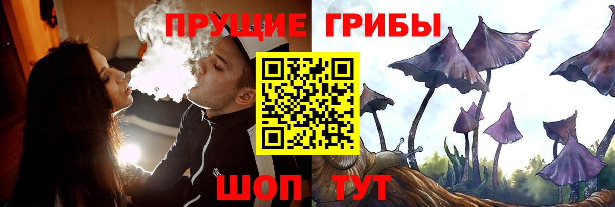 Галлюциногенные грибы GOLDEN TEACHER  Псилоцибиновые грибы Magic Shrooms  Вход с VPN  Мичуринск 